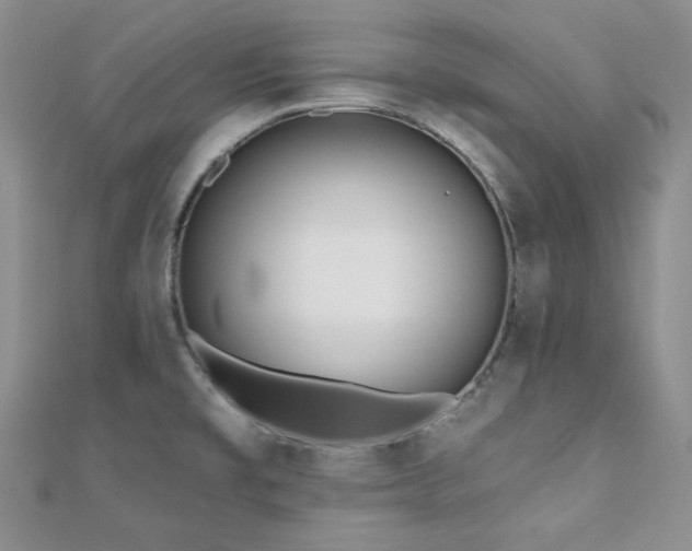 X0000110921477200906181358