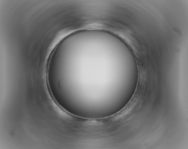 X0000110921478200906181358