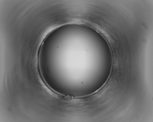 X0000110921479200906181358