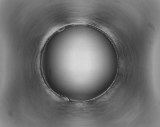 X0000110921480200906181358