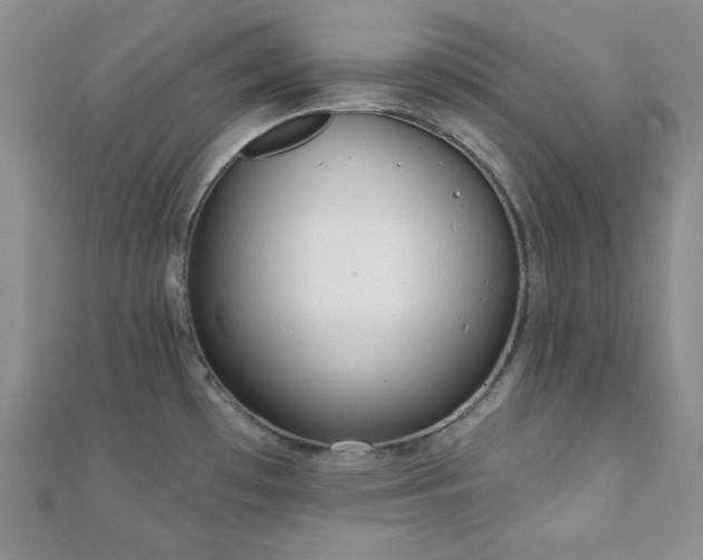 X0000110921481200906181358