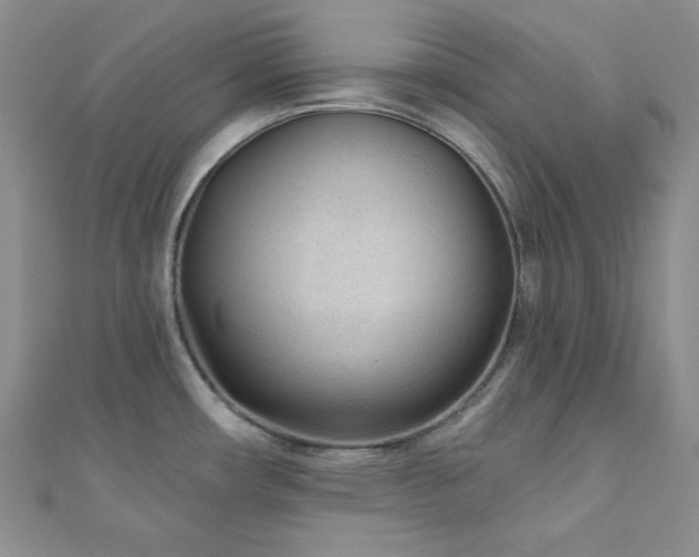 X0000110921482200906181358