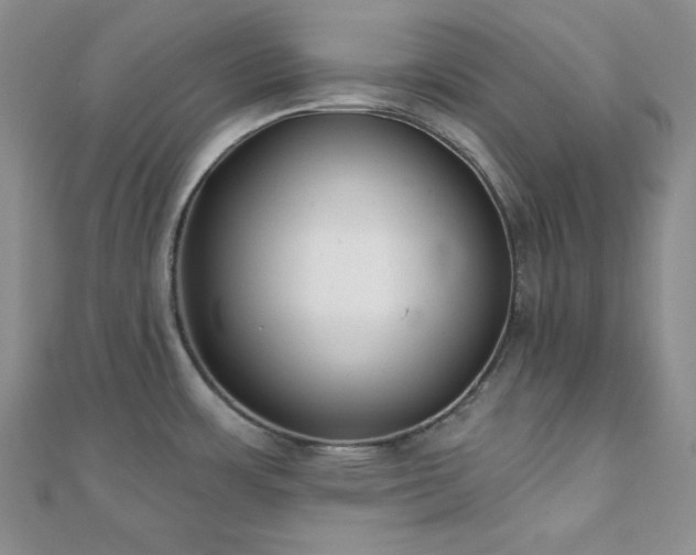 X0000110921483200906181358