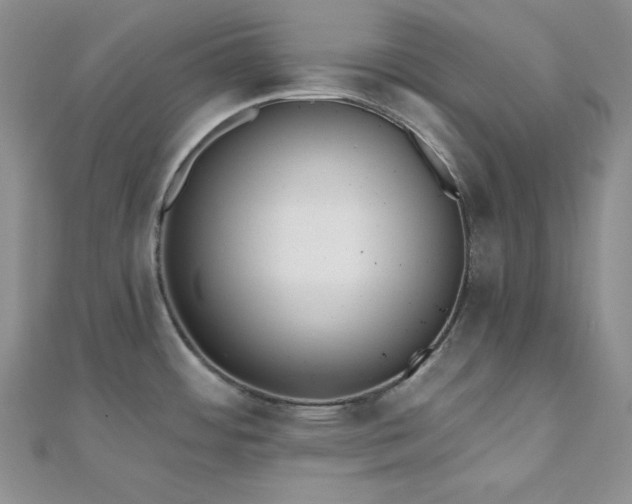X0000110921484200906181358