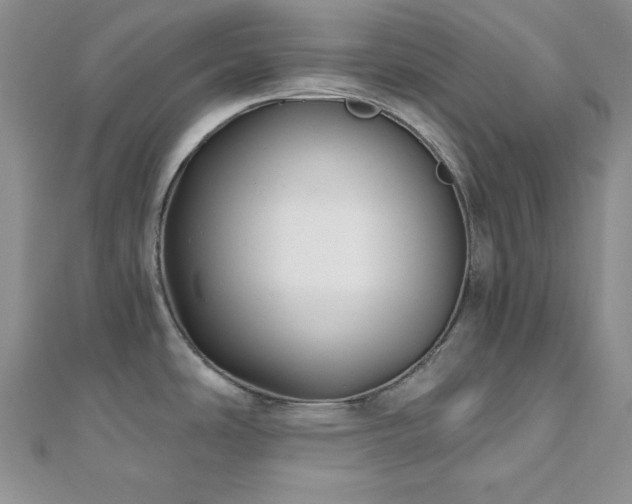 X0000110921486200906181358