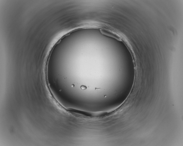 X0000110921488200906181358