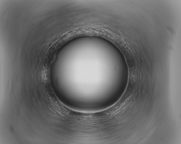 X0000110921490200906181357