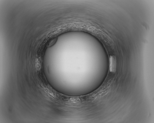X0000110921491200906181357