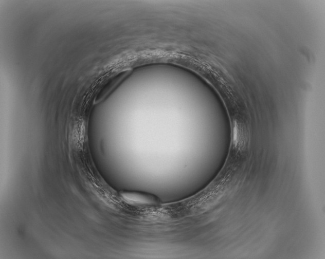 X0000110921492200906181357