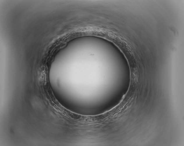 X0000110921493200906181357