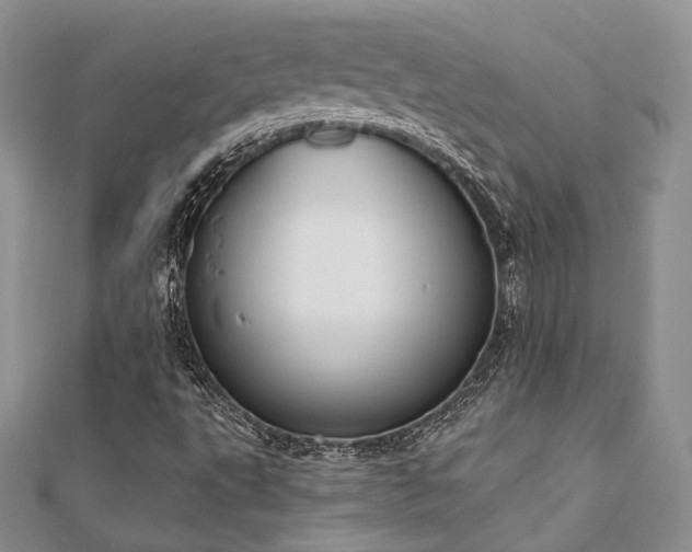 X0000110921495200906181358