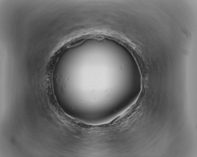 X0000110921496200906181358