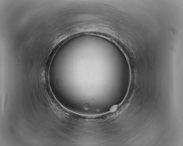 X0000110921497200906181358