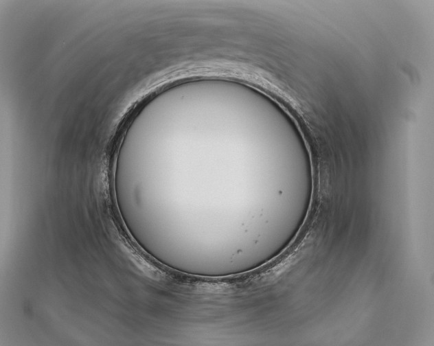 X0000110921498200906181358