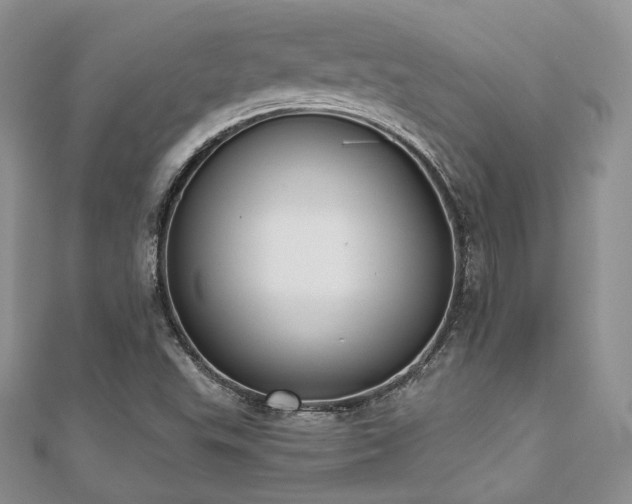 X0000110921503200906181358