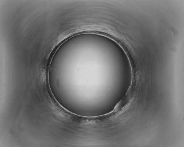 X0000110921505200906181358