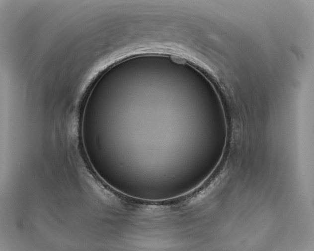 X0000110921506200906181358