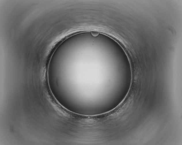 X0000110921507200906181358