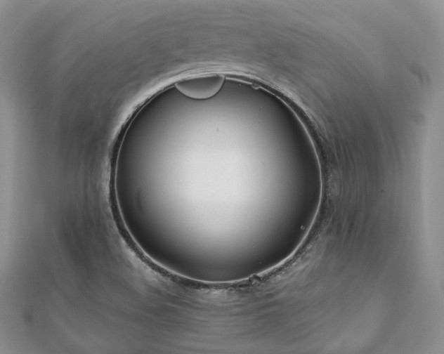 X0000110921508200906181358