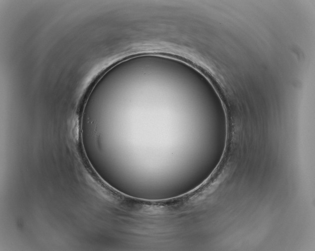 X0000110921509200906181358