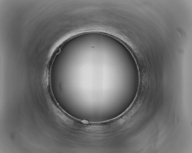 X0000110921510200906181358
