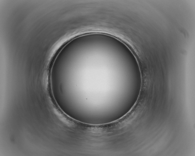 X0000110921511200906181358
