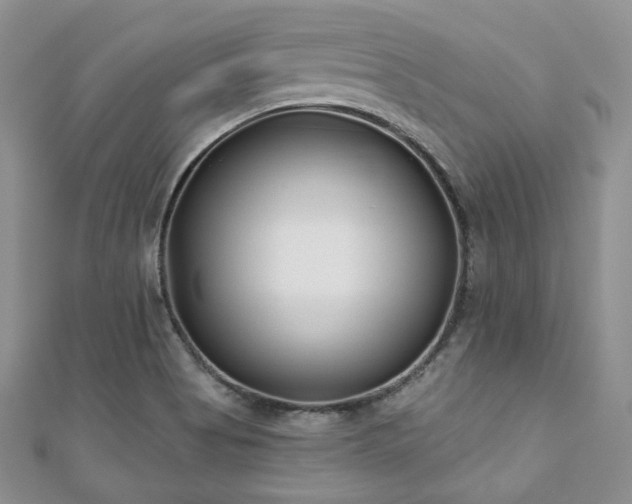 X0000110921513200906181358