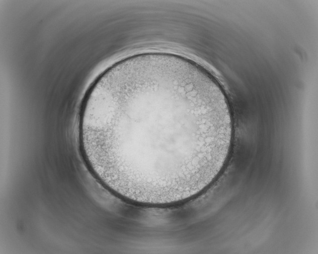 X0000110921514200906181358