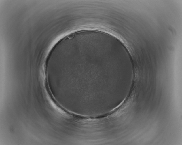 X0000110921515200906181358