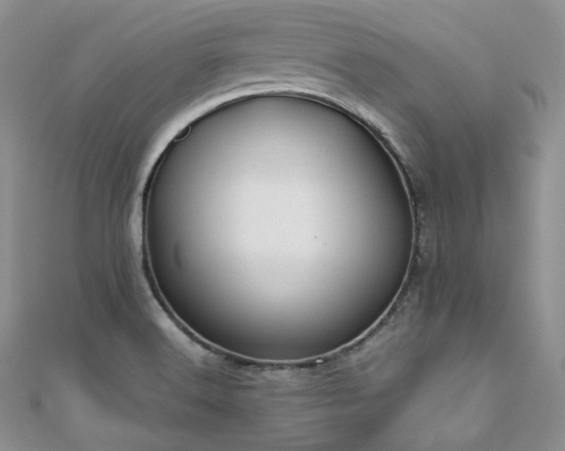 X0000110921516200906181358