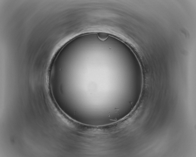 X0000110921517200906181358