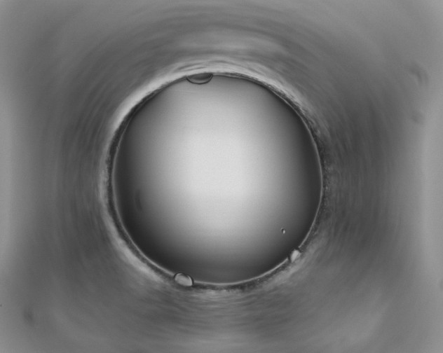 X0000110921518200906181358