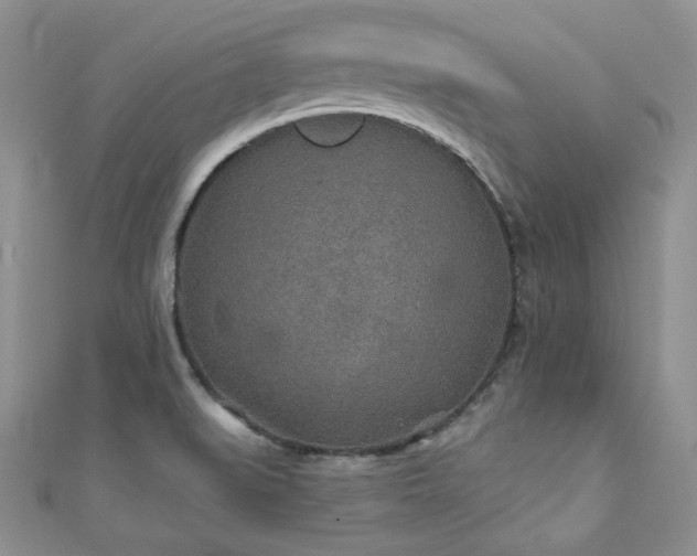 X0000110921519200906181358