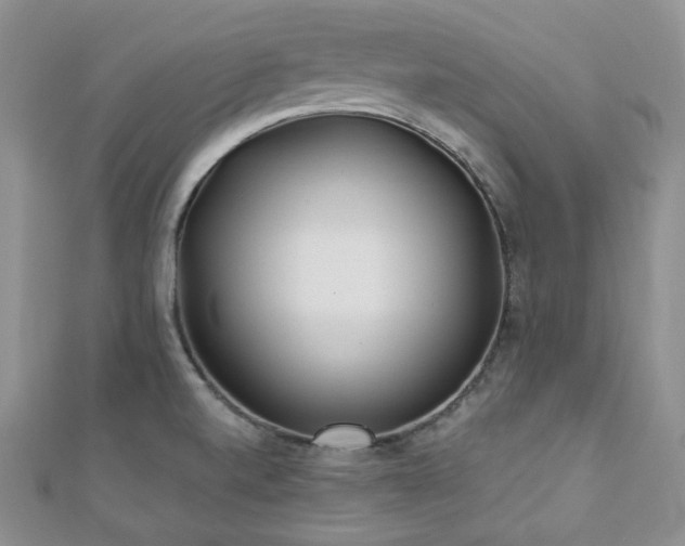 X0000110921520200906181358