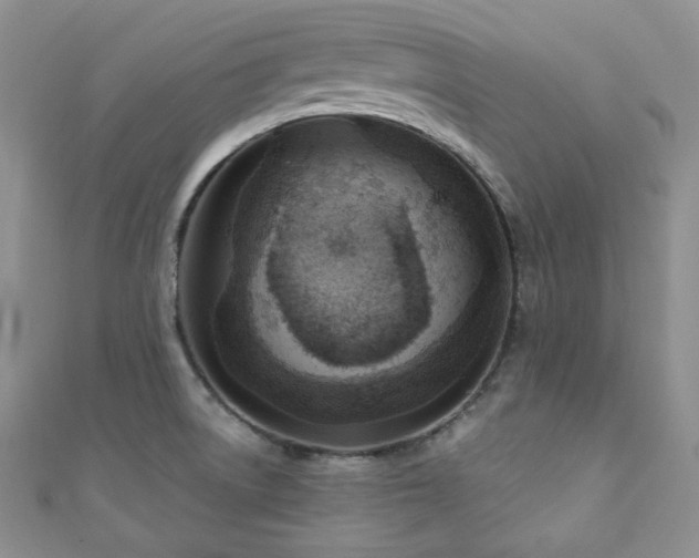X0000110921522200906181358