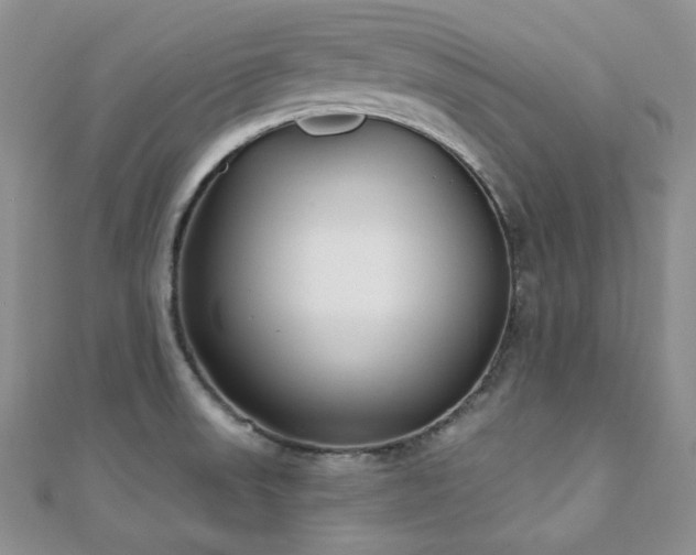 X0000110921523200906181358