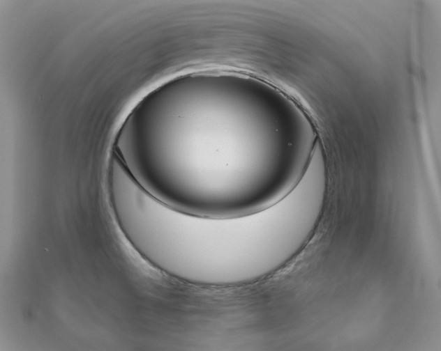 X0000110921524200906181358