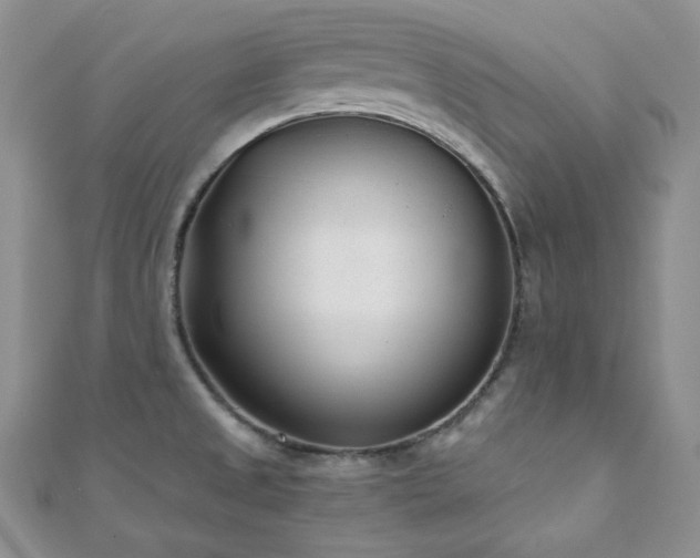 X0000110921525200906181358