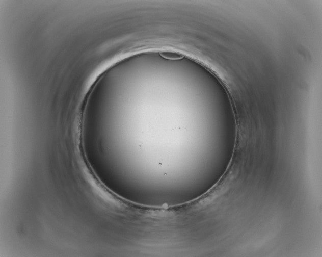 X0000110921526200906181358
