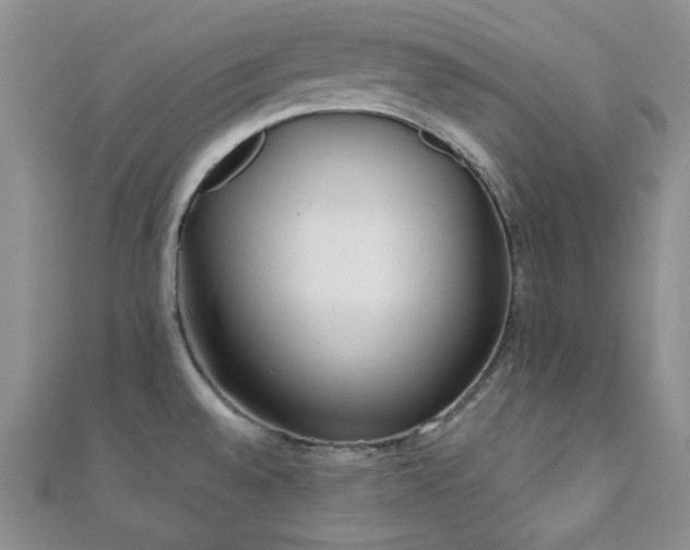X0000110921528200906181358