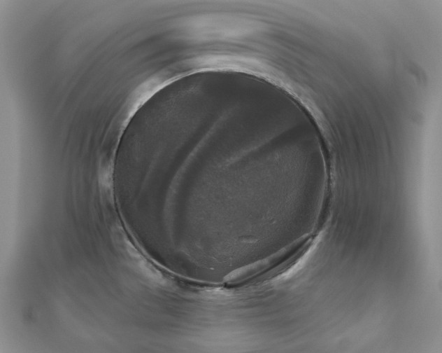 X0000110921529200906181358