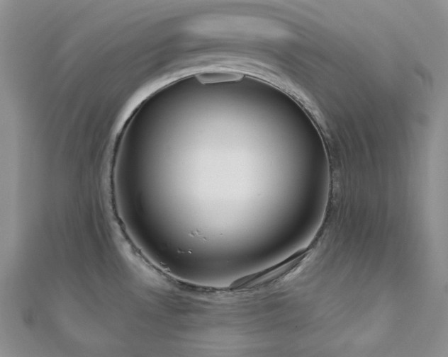 X0000110921530200906181358