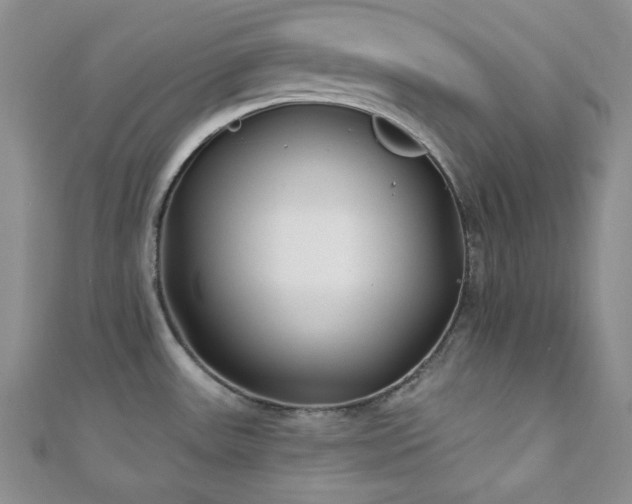 X0000110921531200906181358