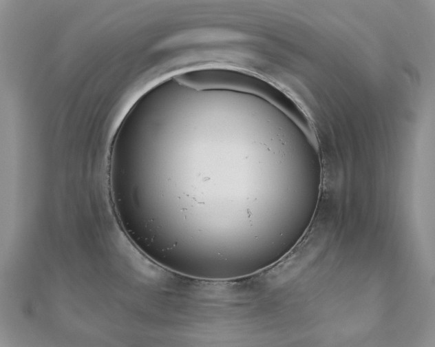 X0000110921532200906181358