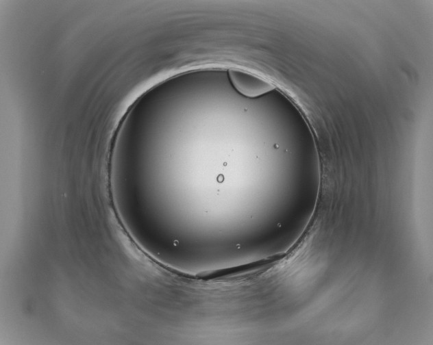 X0000110921534200906181358