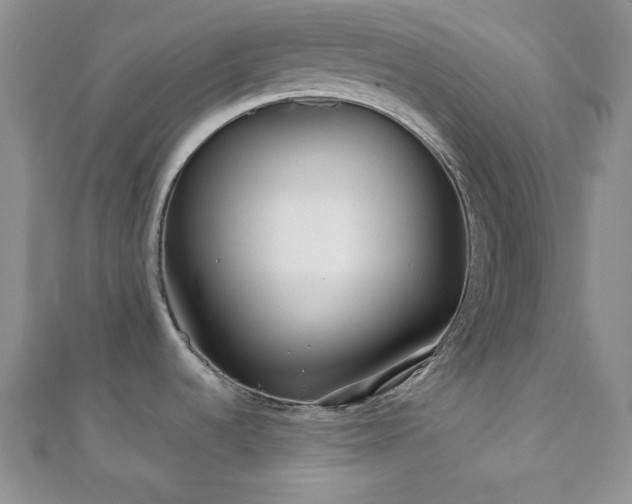 X0000110921536200906181358