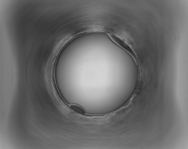 X0000110920001200906251427