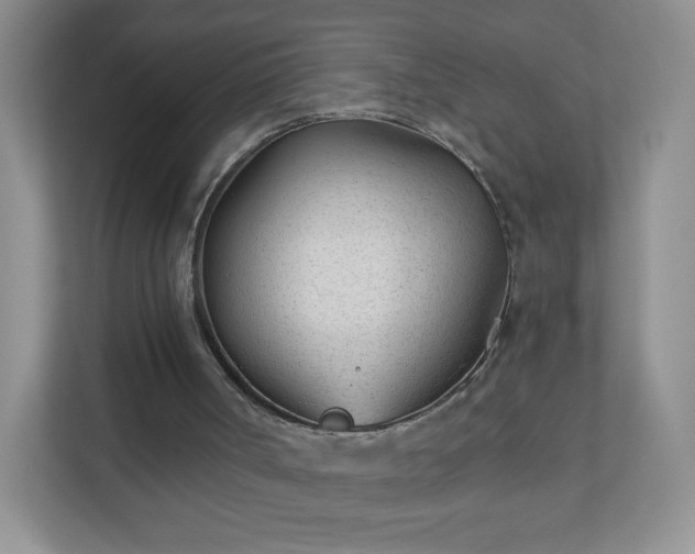 X0000110920002200906251427