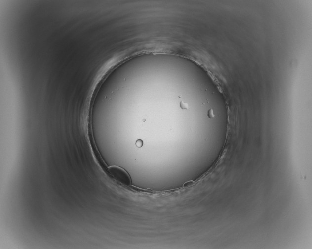 X0000110920003200906251427