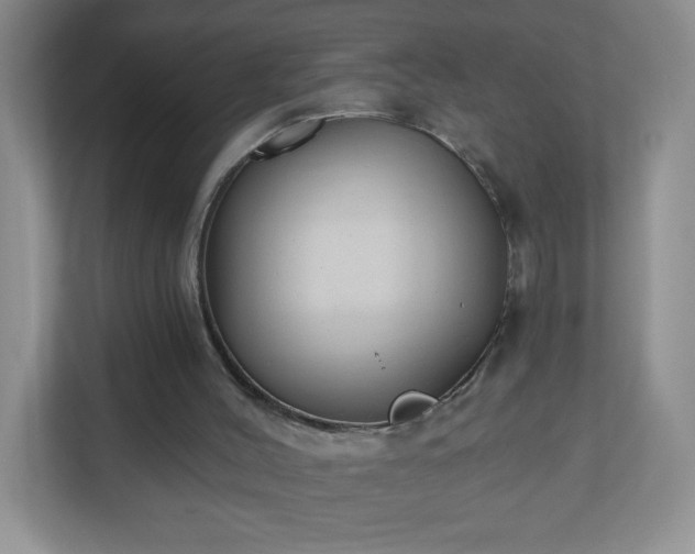 X0000110920004200906251427